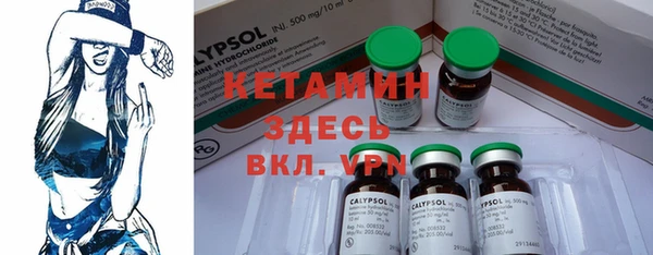 крисы Магас