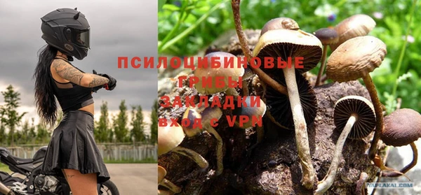 крисы Магас
