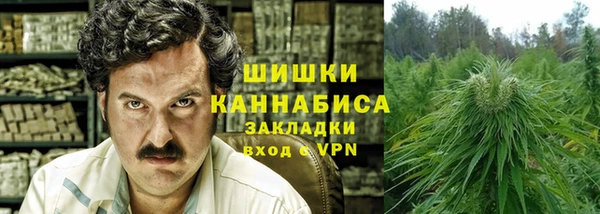 крисы Магас
