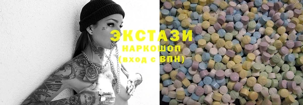 индика Кемь