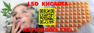 спайс Гай