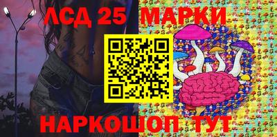 прущие крисы Гатчина