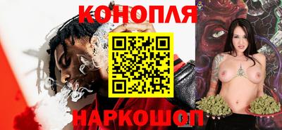 спайс Гай