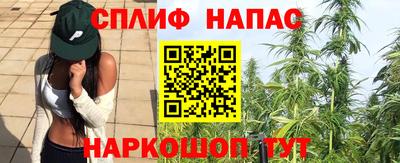 гашишное масло Будённовск