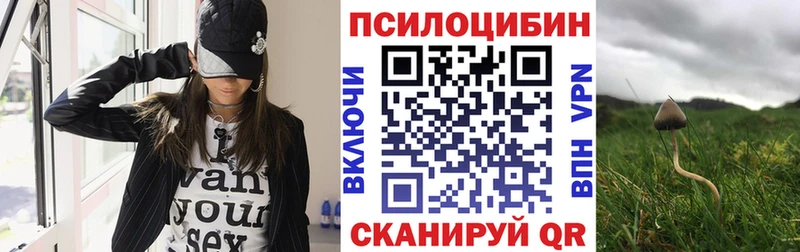 Псилоцибиновые грибы Psilocybine cubensis купить цена Мариинск