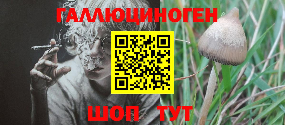 Псилоцибиновые грибы Magic Shrooms  Мариинск  купить   Галлюциногенные грибы Psilocybine cubensis 